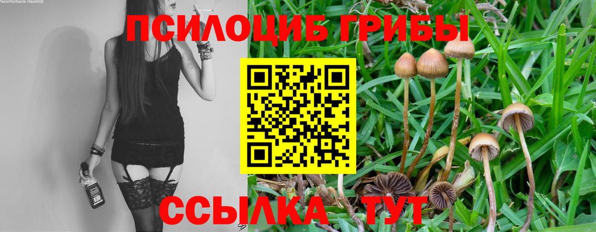 Псилоцибиновые грибы Cubensis  Вход с VPN  Маркс  Псилоцибиновые грибы ЛСД 