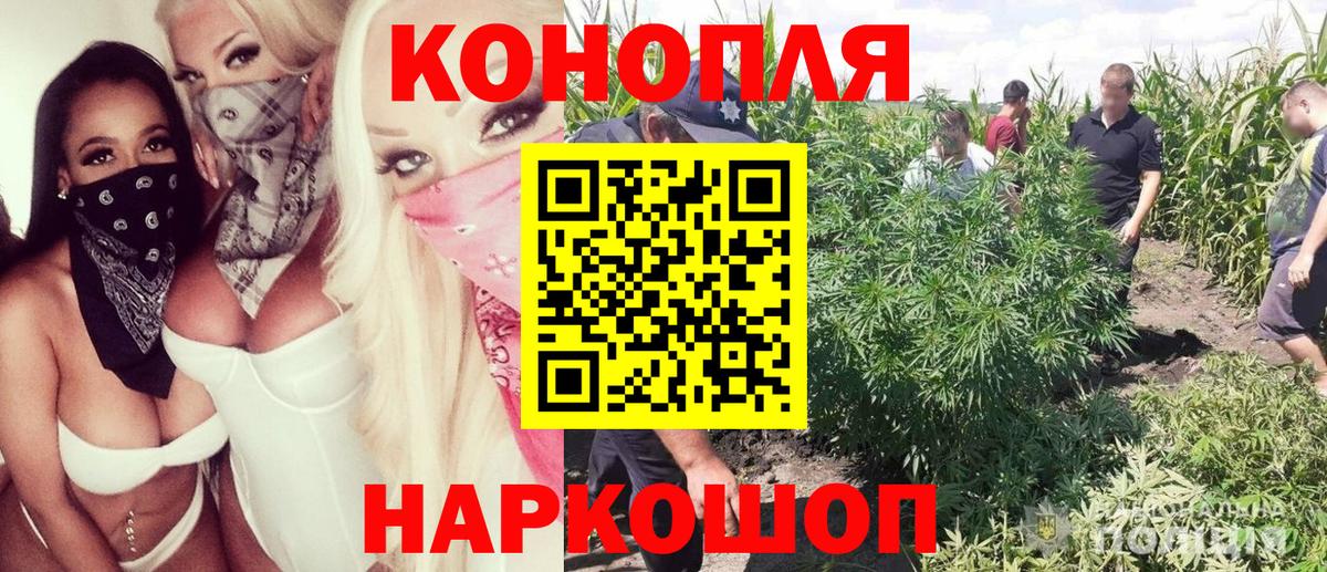 Канабис White Widow  Бошки марихуана семена  Вход с VPN  Каннабис Amnesia  Маркс 